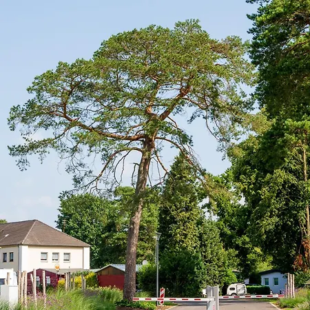 Campeggio Stellplatz Auf Basic 52 Mit Wasser, Abwasser, Strom Nach Bedarf Bruggen (Viersen)